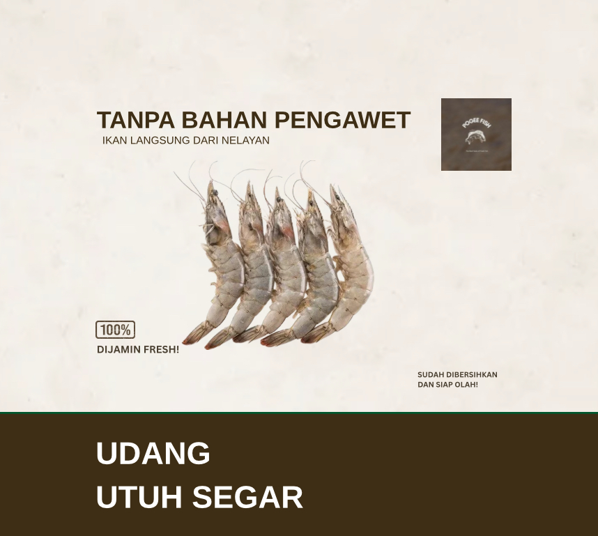 Udang Utuh